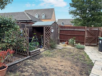 Picture 20